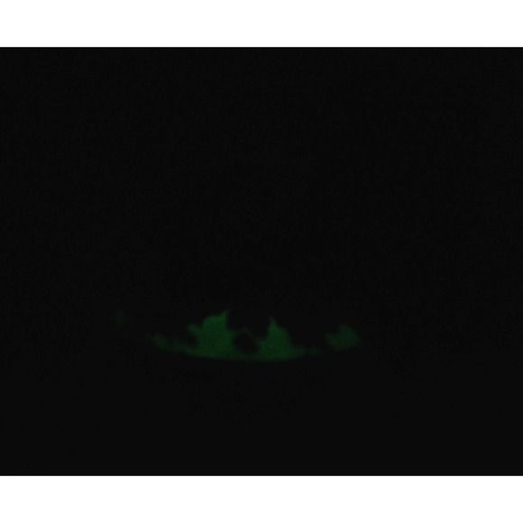 Dr. Martens TMNT Leonardo Boots GLOW IN THE DARK – Rare – Women’s 7 / Men’s 6 - Picture 11 of 14